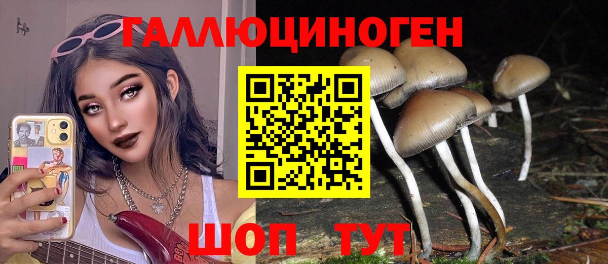 Галлюциногенные грибы MAGIC MUSHROOMS  Галлюциногенные грибы Cubensis  Нальчик  Вход с VPN 